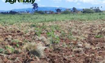 Imagem 4: Fazenda Com 6 Mil Hectares no Sul do Pará