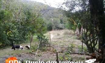 Imagem 5: Mas bah tchê!!! Excelente Sitio 1 hectares em Santo Antonio da Patrulha, RS