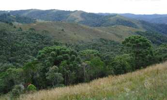 Imagem 4: Casa com 3 dormitórios à venda, 460 m² por R$ 2.200.000,00 - Parque Imbiry - Campos do Jor