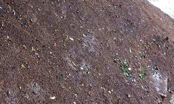 Imagem: Terreno grande