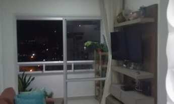 Imagem 6: Arboris Jabotiana <