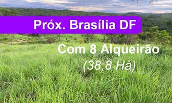 Imagem: Cocalzinho de Goiás - Fazenda - Girassol