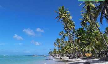 Imagem 7: Flat Rooftop em Condomínio a Beira Mar de Carneiros