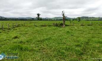 Imagem 3: Fazenda 198 alqueires Região de Cacaulândia