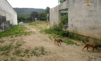 Imagem 6: Terreno residencial à venda, Agronomia, Porto Alegre