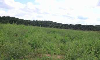 Imagem 3: Terreno Com Valor Especial Para Você!!!!!