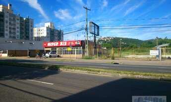 Imagem 6: Terreno à venda - Cavalhada - Porto Alegre/RS
