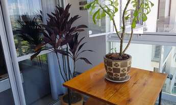 Imagem 4: Apartamento à venda com 2 dormitórios em Barreiros - São José - SC