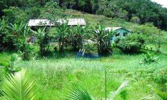 Imagem 4: Sítio Guaraqueçaba