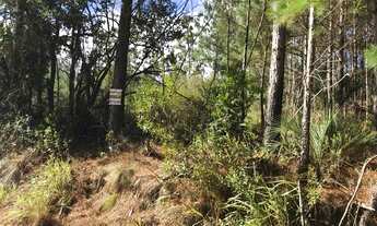 Imagem 5: Terreno - Condomínio Quero Quero