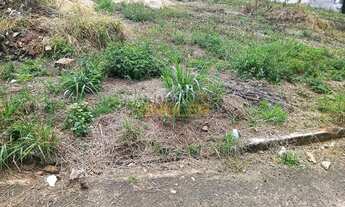 Imagem 4: Terreno à venda, Vila Hipica, Franca