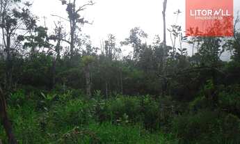 Imagem 4: Área residencial à venda, Cidade Jardim Coronel, Itanhaém - AR0013