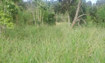 Imagem 3: Sítio 1 Alqueire Morungaba/SP/BR (Ric