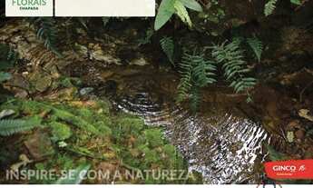 Imagem 6: Terreno em condomínio no FLORAIS CHAPADA - Bairro Centro em Chapada dos Guimarães