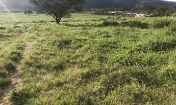 Imagem 5: W36-Lotes com topografia plaina