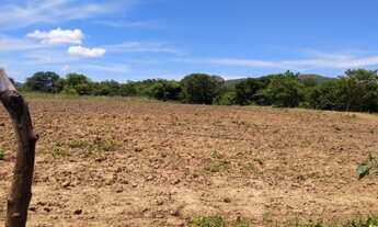 Imagem 3: Oportunidade! Vende-se um espetáculo de sítio 6 Hectares