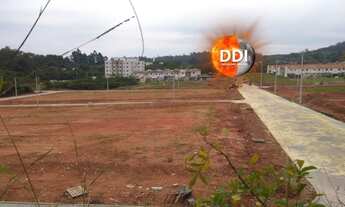 Imagem 4: Quem Investe em Terra não Erra 4.3 hectares no melhor de Sapucaia do Sul de barbada!!!!!