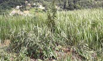 Imagem 2: Ótimo terreno em Itaipava Petrópolis-RJ