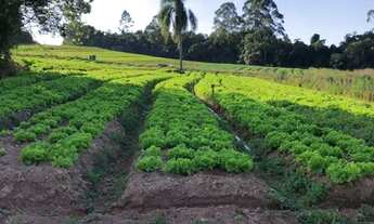 Imagem 7: Terreno em Ibiúna com Fácil Acesso a Mairinque SP HP