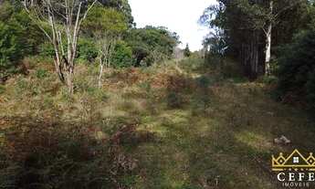 Imagem 6: Sítio / Chácara para Venda em Morro Reuter, São José do Herval