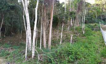 Imagem 3: Terreno à venda, 1032 m² por R$ 280.000,00 - Cônego - Nova Friburgo/RJ