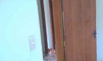 Imagem 3: Casa 3 quartos Casa com 3 dormitórios