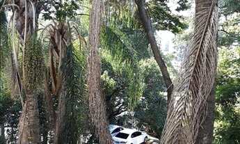 Imagem 3: Apartamento residencial à venda, Jardim Botânico, Porto Alegre