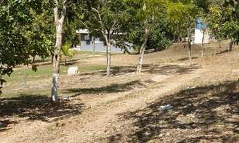 Imagem 5: Fazenda/Sítio/Chácara para venda possui 100000 metros quadrados com 4 quartos sendo duas s