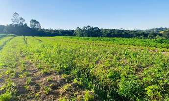 Imagem 5: Terrenos Para Construir seu Condomínio em Ibiúna SP