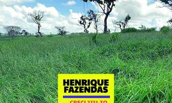 Imagem 4: Fazenda Vitrine, 60 alqueires ( 290.4 hectares). 45 alqueires em Dois Irmãos