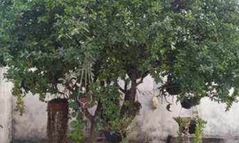 Imagem 2: OPORTUNIDADE ÚNICA! Linda casa na Sucupira! Lote amplo 200m²! 3 Quartos! Confira!