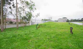 Imagem 5: Terreno à venda, 322 m² por R$ 250.000,00 - Colônia Faria - Colombo/PR