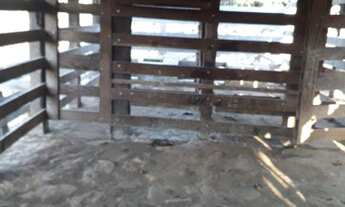 Imagem 6: Fazenda com 3 dormitórios à venda, 7000 m² por R$ 2.500.00 - Rural - Itamonte/Minas Gerais