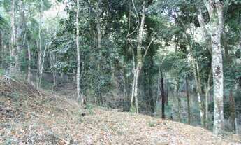 Imagem 2: Excelente terreno em lugar bucólico, próximo ao centro da cidade