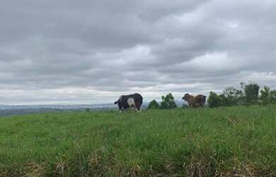 Imagem 7: Terrenos com Vista para o Valle do Parnaiba
