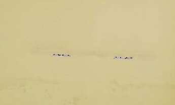 Imagem 5: Casa à venda, 200 m² por R$ 2.000.000,00 - Campo Belo - São Paulo/SP