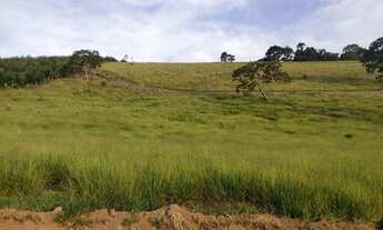Imagem 7: Lote/Terreno para venda tem 1000 metros quadrados em vila verde