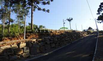 Imagem 5: GRAMADO - Terreno Padrão - Loteamento Marsal