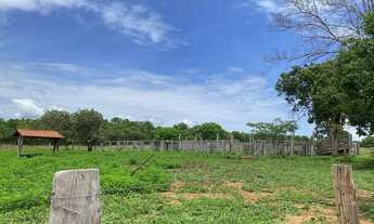 Imagem 7: Fazenda em Palmeiropolis-TO. 60 mil por alqueire