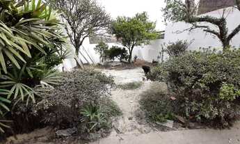 Imagem 3: Casa com 3 dormitórios à venda e locação - Planalto - São Bernardo do Campo/SP