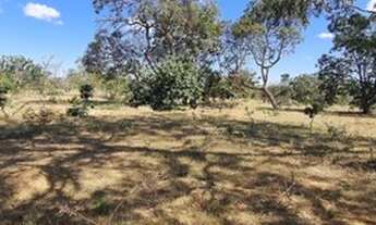 Imagem 3: FAZENDA DE 2.230 HECTARES PARA IRRIGAÇÃO EM SÃO ROMÃO - MG