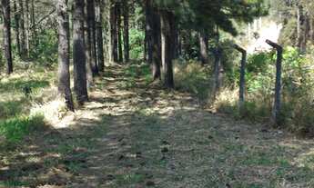 Imagem 2: Fazenda/Sítio/Chácara para venda com 83000 metros quadrados com 2 quartos