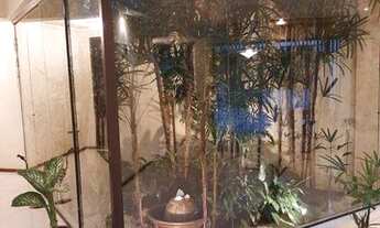 Imagem 2: Sobrado com 4 dormitórios à venda, 406 m² - Parque Espacial - São Bernardo do Campo/SP