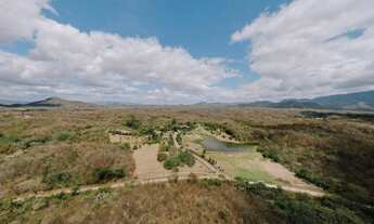 Imagem 2: Fazenda/Sítio/Chácara para venda com 300 metros quadrados com 8 quartos em Centro - Maran