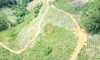 Imagem 5: Terreno a Venda em Domingos Martins