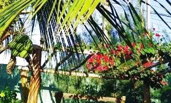 Imagem 3: Casa para eventos com piscina