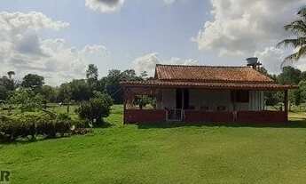 Imagem 7: Fazenda 127 alqueires Jaru