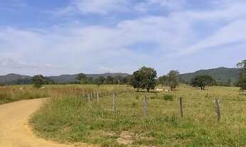 Imagem 5: Linda fazenda município Padre Bernardo