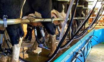 Imagem 6: Fazenda/Sítio/Chácara para venda tem 177 metros quadrados com 4 quartos. Maravilhosa