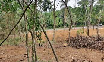 Imagem 6: GRAMADO - Terreno Padrão - Carazal